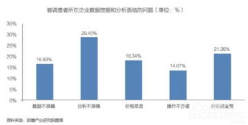 中國大數據產業發展前景與投資規劃分析——聚焦數據處理服務