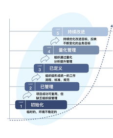 IBM數據治理成熟度評估模型 驅動企業數據價值實現的關鍵框架