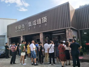 產品魅力分享盛會 墻頂一體藝術，華夏杰邀您共鑒藝術之光